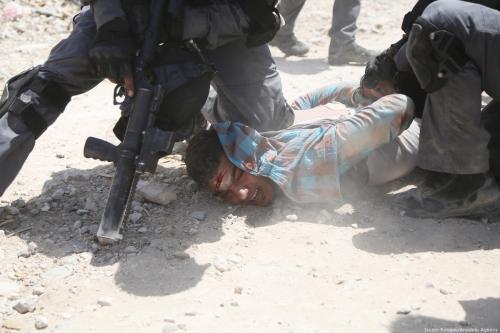 Israeli forces can be seen violently attacking Palestinians as they evict them from their homes in Khan Al-Ahmar village of Jerusalem on 4 July 2018 [Issam Rimawi/Anadolu Agency]