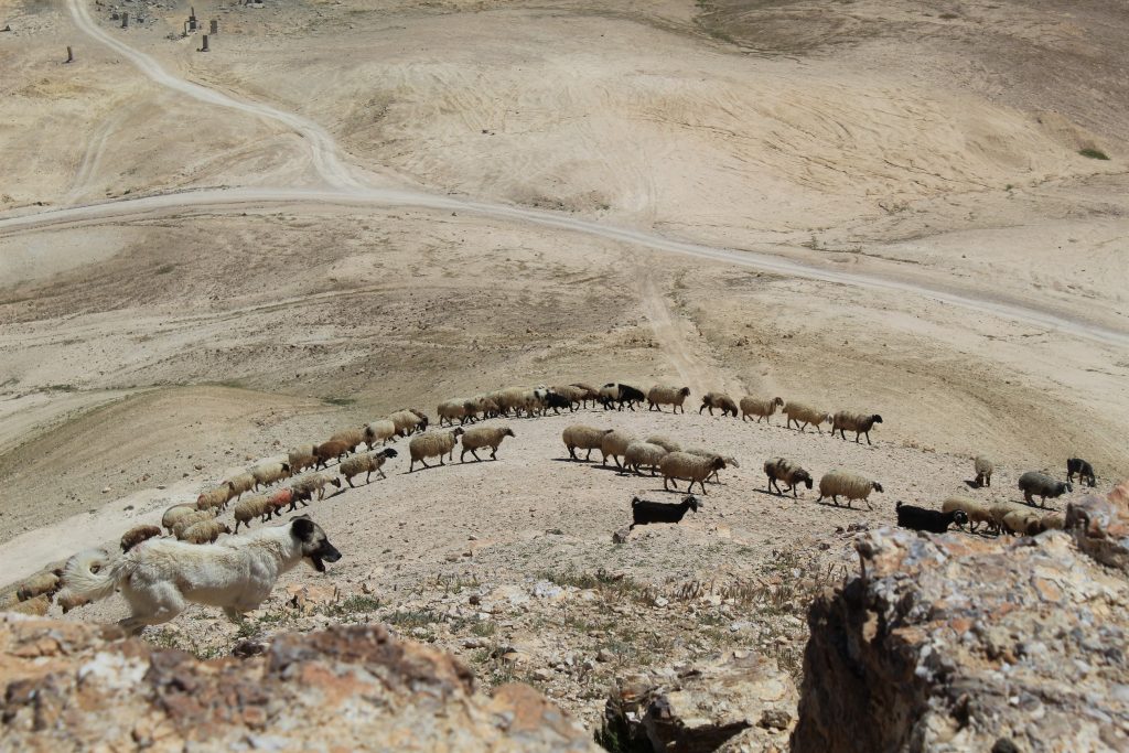This area of land in the Eastern Slope marks a transitional zone between the arid and semi-humid highlands (MEE/Megan Giovanetti)