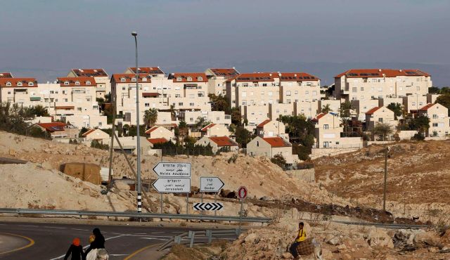 Bedouin ride donkeys in the W. Bank Jewish settlement of Maale Adumim, near Jerusalem, Dec. 3, 2012. Photo by Reuters.
