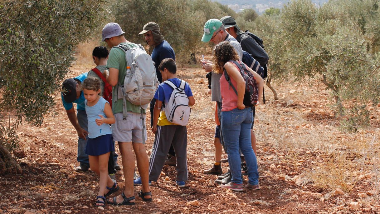 Participants in an inaugural Bedouin tracking workshop, Salameh, Upper Galilee, September 2015. By Tal Shofman-Schejter.